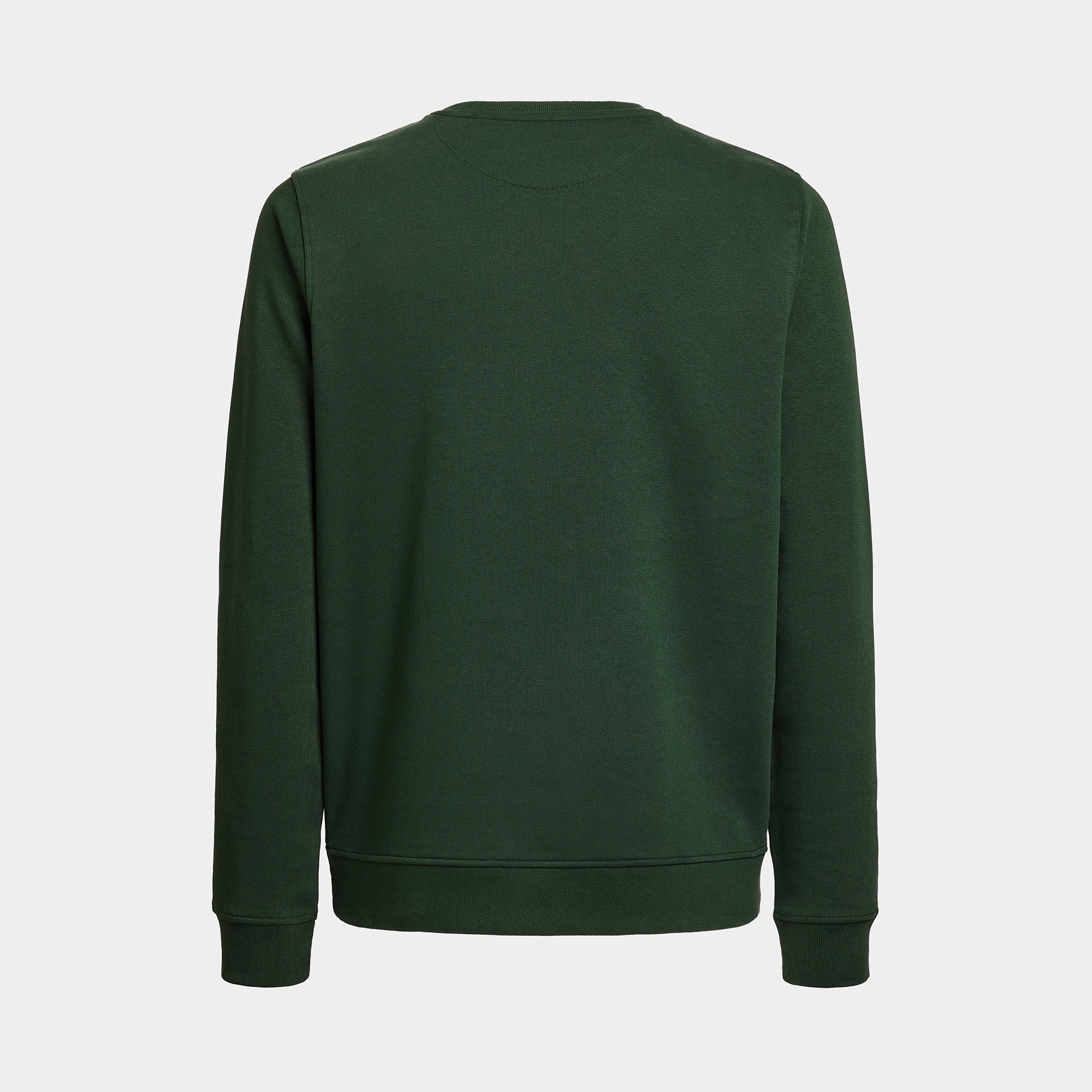 Green Sweater