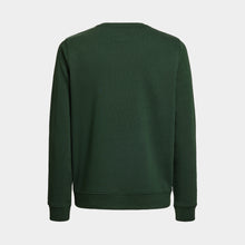 Green Sweater