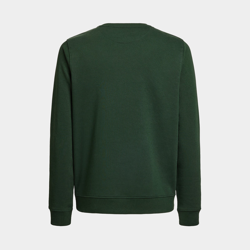 Green Sweater